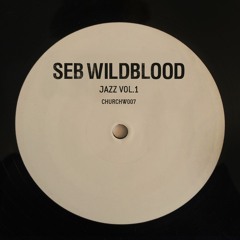 Seb Wildblood - Seal Of Approval (Medlar Remix)