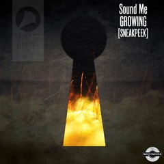 Sound Me - Growing (Album Sneak Peek Promo Mix)