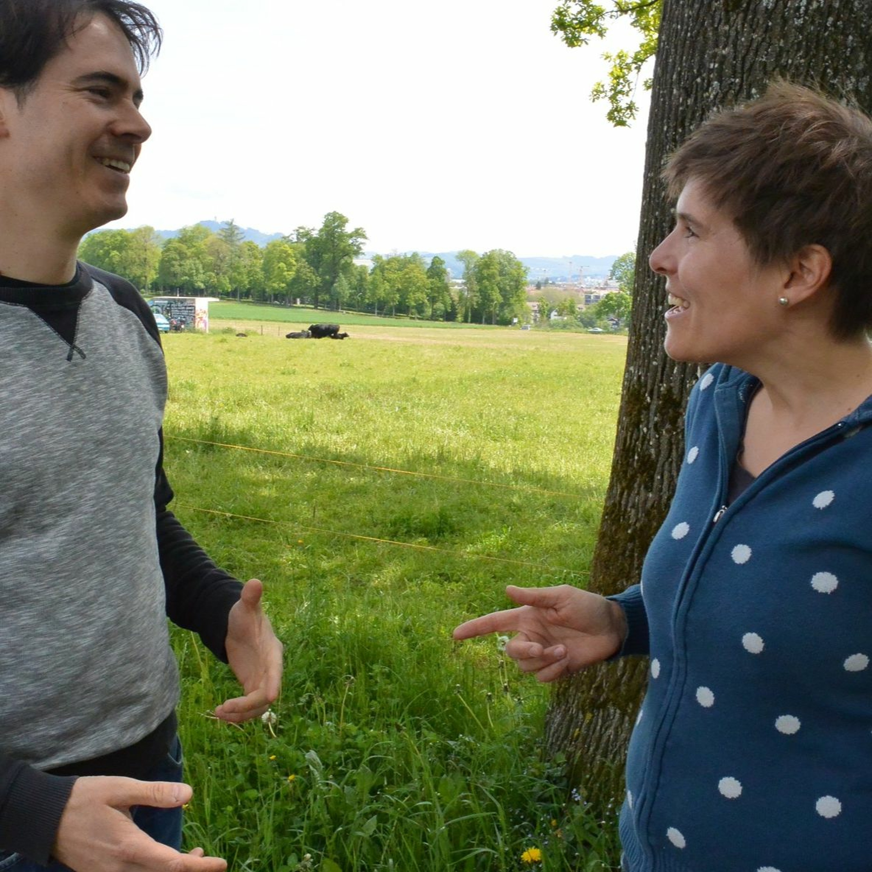 Radio Bern RaBe (OFFICIAL)