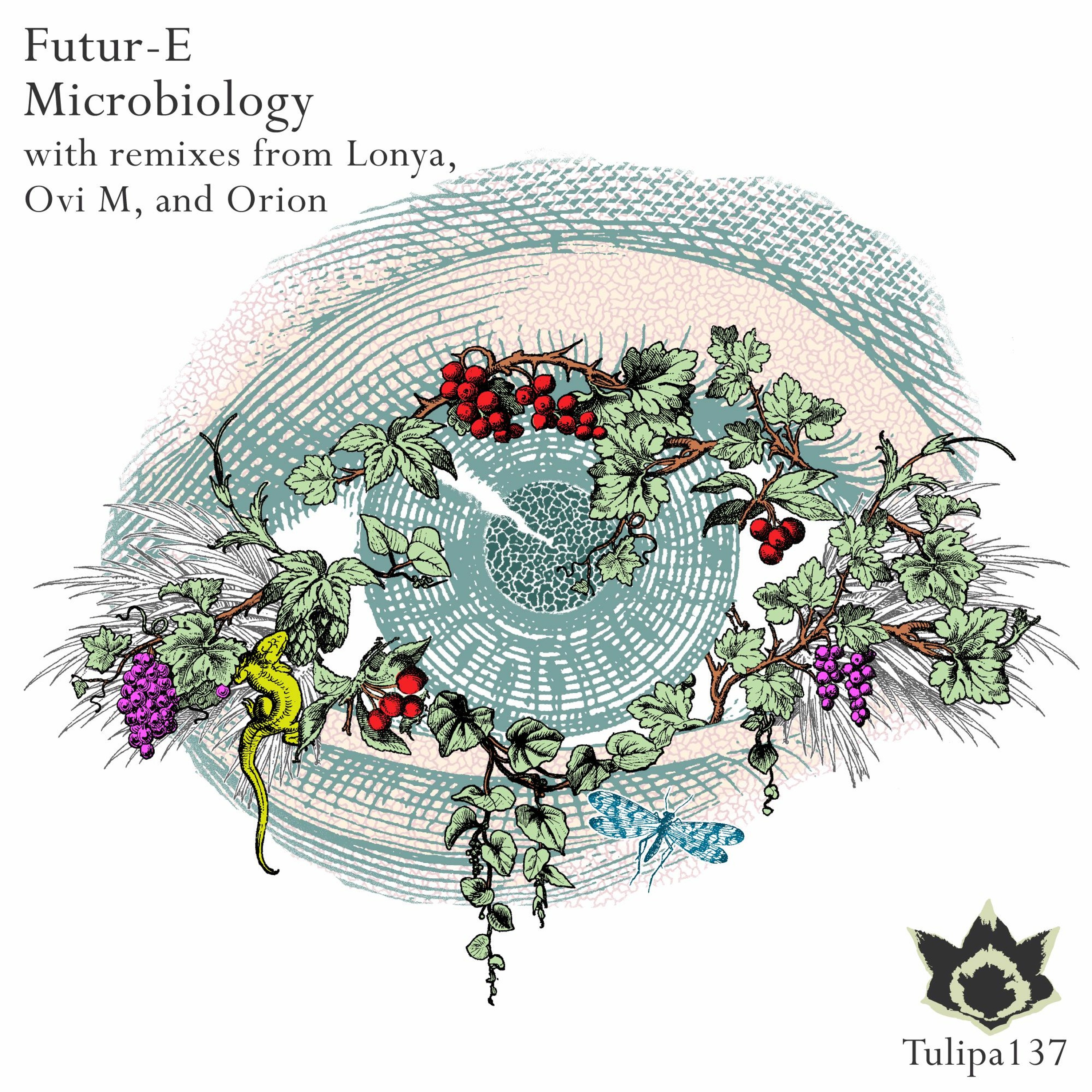Futur - E - Microbiology (Lonya Remix) SC Edit - Tulipa Recordings episode artwork
