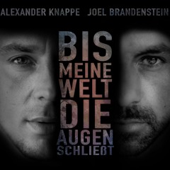 Alexander Knappe & Joel Brandenstein-Bis meine Welt die Augen schließt (S&R SoundBrothers Bootleg)