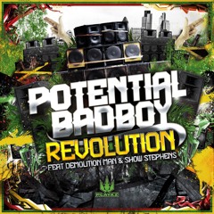 Potential Badboy - Revolution (Remixes)