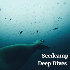 Deep Dives
