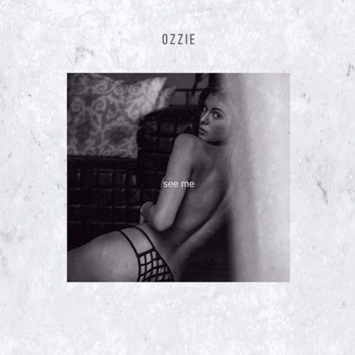 OZZIE - see me [LOOPED INSTRUMENTAL] OFFICAL INSTRUMENTAL IN DESCRIPTION