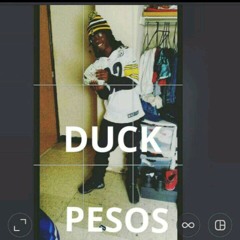 PESOS X Duck