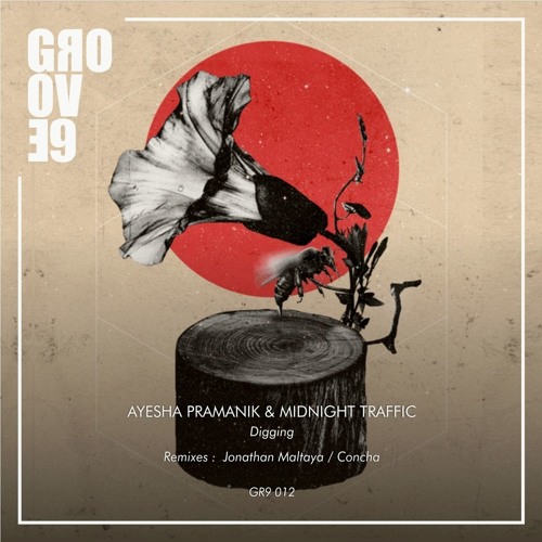 Ayesha Pramanik & Midnight Traffic - Digging (Original Mix)