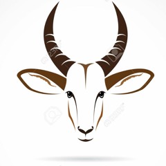 RHCP - By The Way (Fresh Gazelle Remix) [Short Edit]