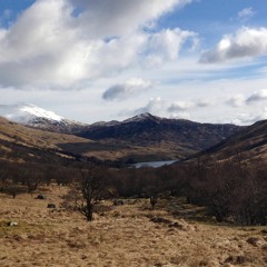 Audio Interpretation Internship - Glen Finglas