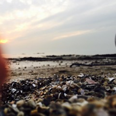 먼데이키즈 나비의꿈