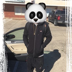 PANDA FREESTYLE