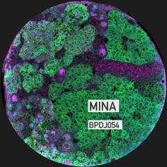 ~ Mina Guest Mix ~