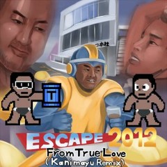 Escape From True Love 2012(Remix)