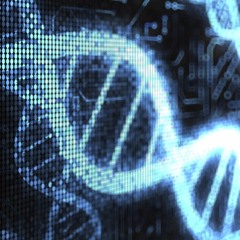 Hexadecimal Genome (Bit Shifter cover)