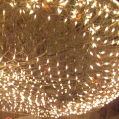 Lichterloh