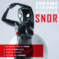 1. Die Duiwel Met Die Snor [CLICK BUY FOR FREE DOWNLOAD]