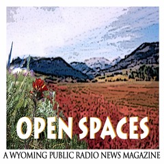 Open Spaces May 20, 2016