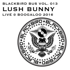 Blackbird Bus Vol. 013 | Lush Bunny | LIVE @ Boogaloo 2016