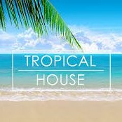 Jot Evans   Tropical House Mix Sumer