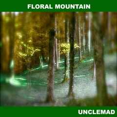 8 - White Wasteland - Album FLORAL MOUNTAIN