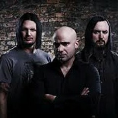 disturbed - the night