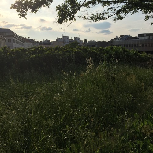 I Can Hear The Grass Grow