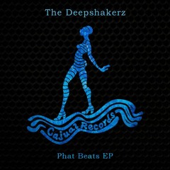 The Deepshakerz - Need A Beat
