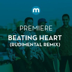 Premiere: Beating Heart 'The Work' (Rudimental Remix)