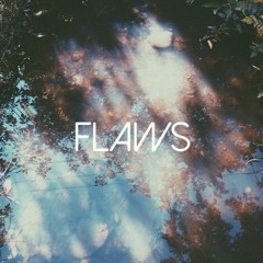 FLAWS / BASTILLE COVER
