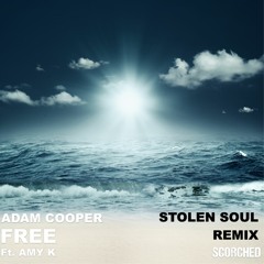 Adam Cooper Ft. Amy K - Free (Stolen Soul Remix)