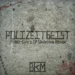 Polizeitgeist || Half-Life 2 CP Violation Metal Remix