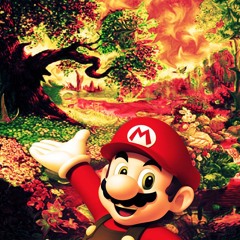 Mario On Shrooms