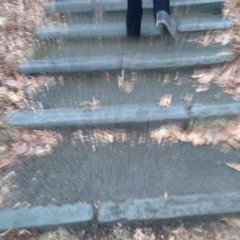 paths ft. code abi