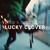 Artwork for Zerb x CocoRosie - Lucky Clover
