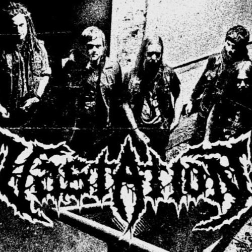 vastation-thole