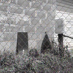 Coppice "Induction Without Bifurcation"