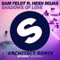 Shadows Of Love (ft. Heidi Rojas) (Architect Remix)