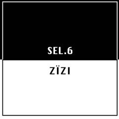 SEL.6 X ZIZI /// THIS IS NOT A RAP BEAT