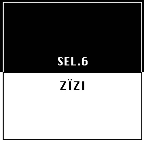 SEL.6 X ZIZI /// THIS IS NOT A RAP BEAT