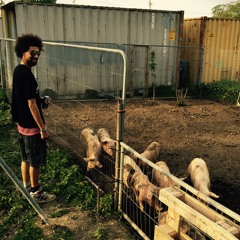 A Word To My Brother - Nodus tollens