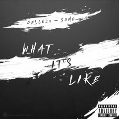 Cello2x - What It's Like (feat. Sumo)