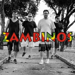 Movido à Álcool - Raul Seixas (Bônus)