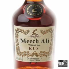 WITH OUT YOU X MEECH ALI