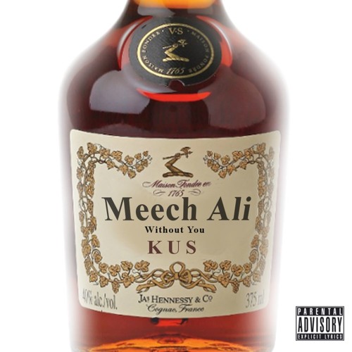 WITH OUT YOU X MEECH ALI