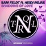Shadows Of Love (ft. Heidi Rojas)