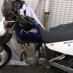 AMI SUZUKI (ALBUM 1st INTRO)