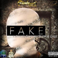 Fake ft. Amarie Gorgeous Storm x Ljayy