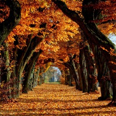 Open Road - Chris Brown