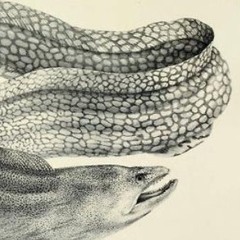 Fetters - Goddess of War