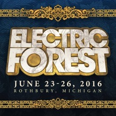 On the road to Electric Forest 2016