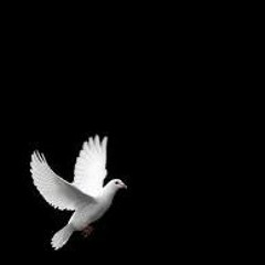 Little Dove (unfinished)